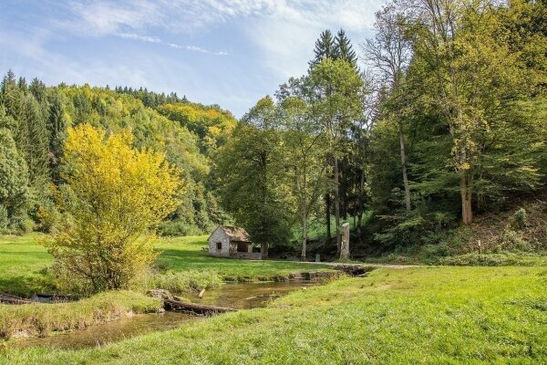 Wiesensteig 