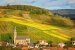 Weinberge mit herbstlicher Farben, Pfalz, Deutschland