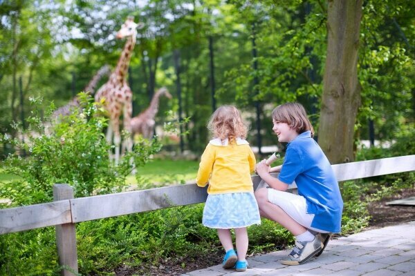 Bruder und Schwester im Zoo