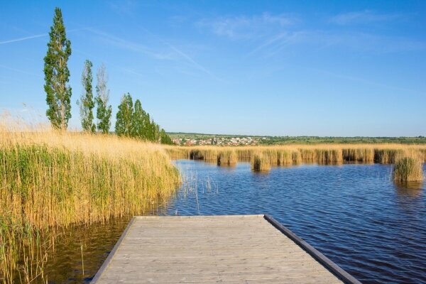 Strand In Mörbisch am See Neusiedl In Österreich Stockfoto