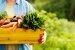 Seniorin hält Geschenkbox mit Gemüse