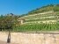 Landschaft aus einem Weinanbaugebiet
