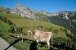 Kühe auf Fluonalp, Schweiz
