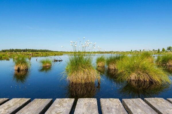 Idyllische Wasser