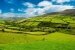 ländliche Landschaften mit Wiesen in Irland