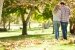 Rückansicht romantisches Paar zu Fuß durch den Herbstwald