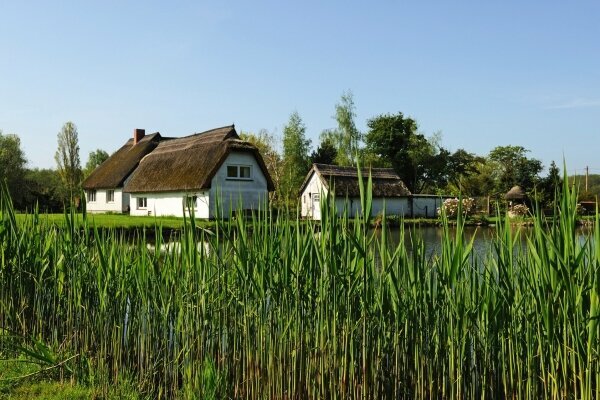 Deutschland Rügen Ostsee Reed Dach Häuser Sommer