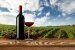 Landschaft mit Weingütern mit Flasche, Glas Wein und Trauben