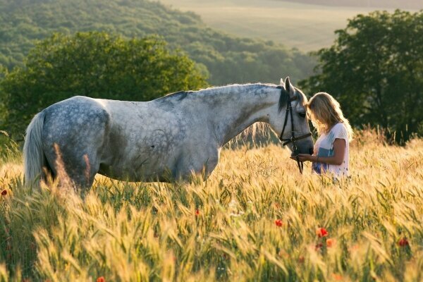 betyarlaca/istockphoto