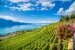 Region Lauvaux Wein am Genfer See