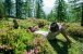 Österreich, Salzburg: Mann entspannt auf einer Alm auf dem Berg