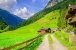 Landstraße zu alpinen Häusern in den Alpen