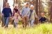 Glückliche mehr-Generationen-Familie spaziert auf dem Land