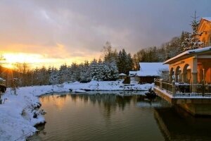 Garten im Winter