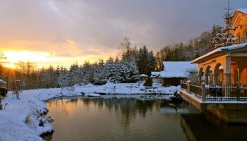 Garten im Winter