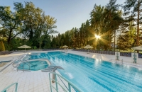 4* Esplanade Ensana Health Spa Hotel - Wellnessbereich