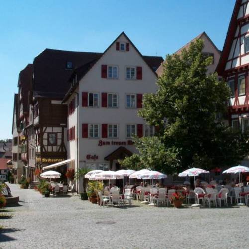 2 Tage Radeln vom Neckar zu Schwarzwald und Bodensee – Hotel zum treuen Bartel (3 Sterne) in Markgröningen, Baden-Württemberg inkl. Halbpension
