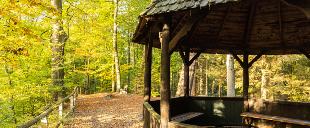 AKZENT Hotel Berlin - Umgebung