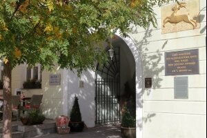 AKZENT Hotel Goldner Hirsch - Hotel-Außenansicht