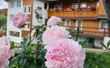 AKZENT Hotel Kaltenbach - Hotel-Außenansicht