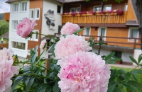 AKZENT Hotel Kaltenbach - Hotel-Außenansicht