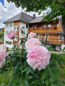 AKZENT Hotel Kaltenbach - Hotel-Außenansicht, Quelle: AKZENT Hotel Kaltenbach