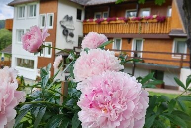 Hotel Kaltenbach - Hotel-Außenansicht, Quelle: Hotel Kaltenbach