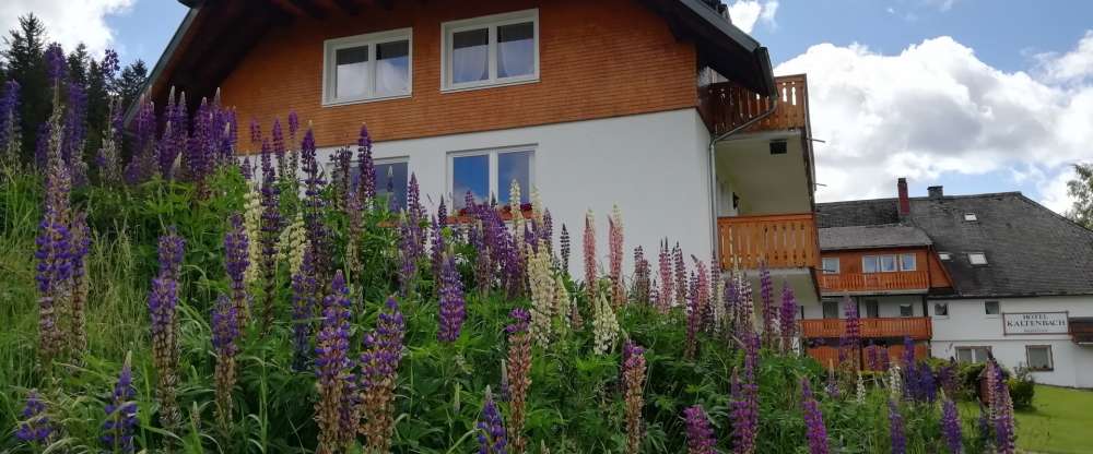 AKZENT Hotel Kaltenbach - Hotel-Außenansicht