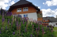 AKZENT Hotel Kaltenbach - Hotel-Außenansicht