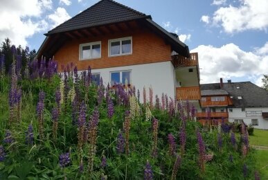Hotel Kaltenbach - Hotel-Außenansicht, Quelle: Hotel Kaltenbach