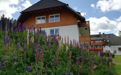 AKZENT Hotel Kaltenbach - Hotel-Außenansicht