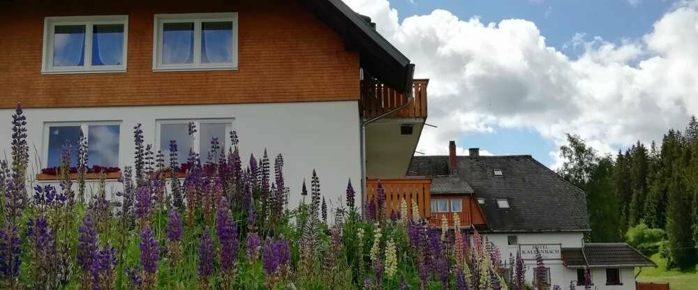 Hotel Kaltenbach - Hotel-Außenansicht