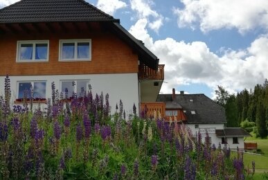 Hotel Kaltenbach - Hotel-Außenansicht, Quelle: Hotel Kaltenbach