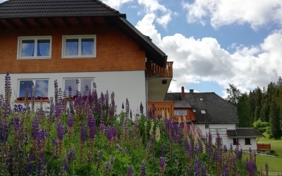 AKZENT Hotel Kaltenbach - Hotel-Außenansicht