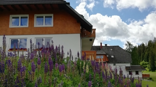 Hotel Kaltenbach - Hotel-Außenansicht