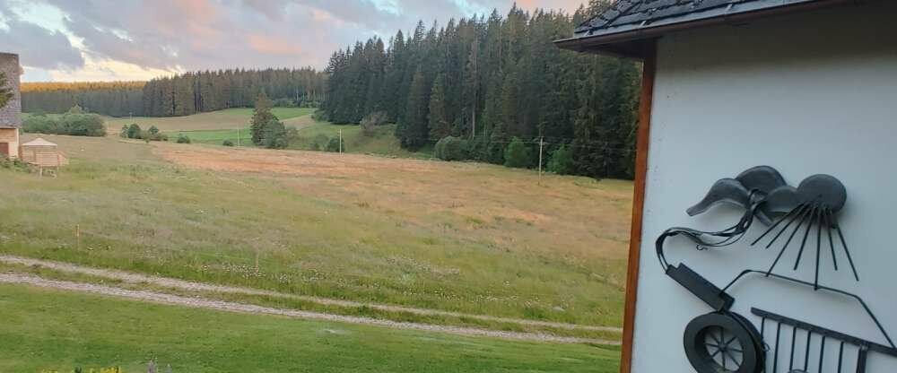 Hotel Kaltenbach - Terrasse/Außenbereich