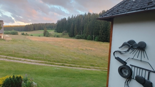 Hotel Kaltenbach - Terrasse/Außenbereich