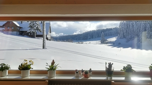 Hotel Kaltenbach - Terrasse/Außenbereich