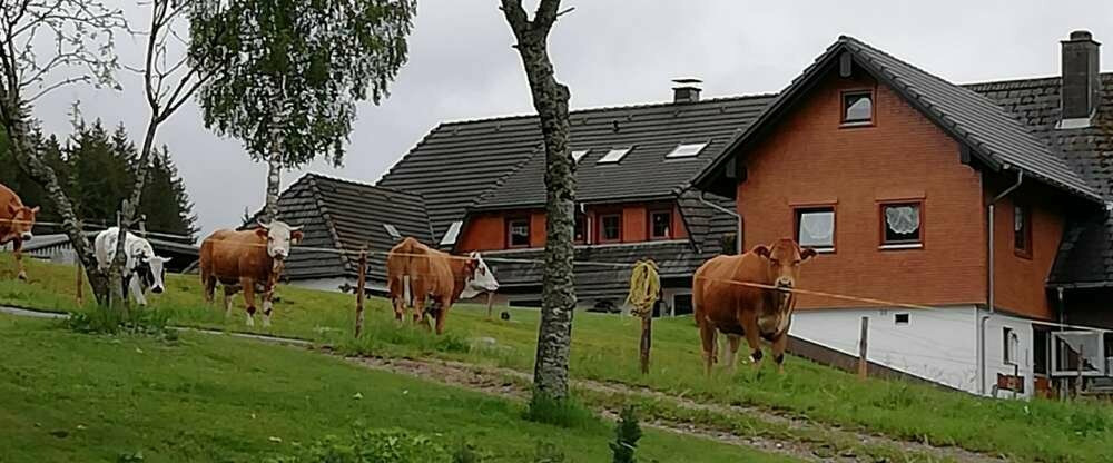 Hotel Kaltenbach - Terrasse/Außenbereich