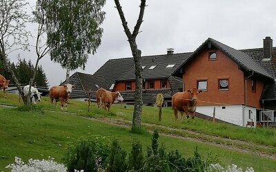 AKZENT Hotel Kaltenbach - Terrasse/Außenbereich