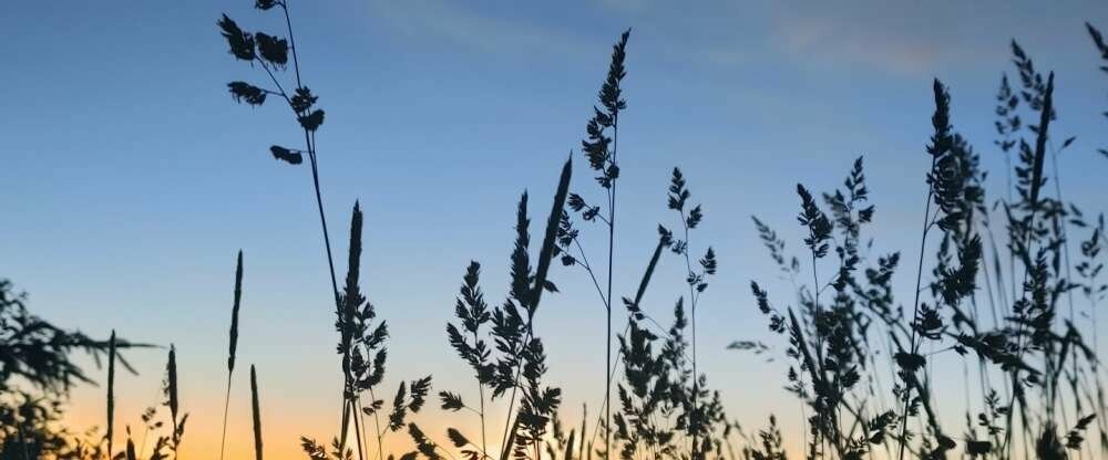 Hotel Kaltenbach - Umgebung