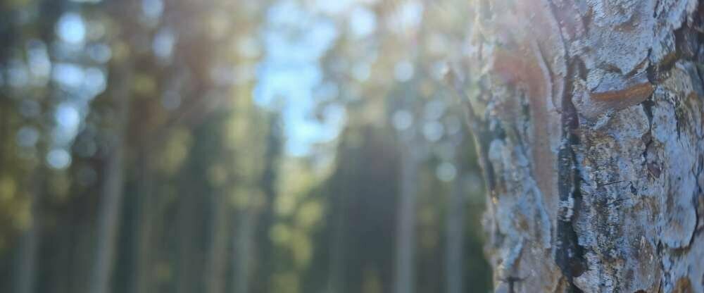 Hotel Kaltenbach - Umgebung