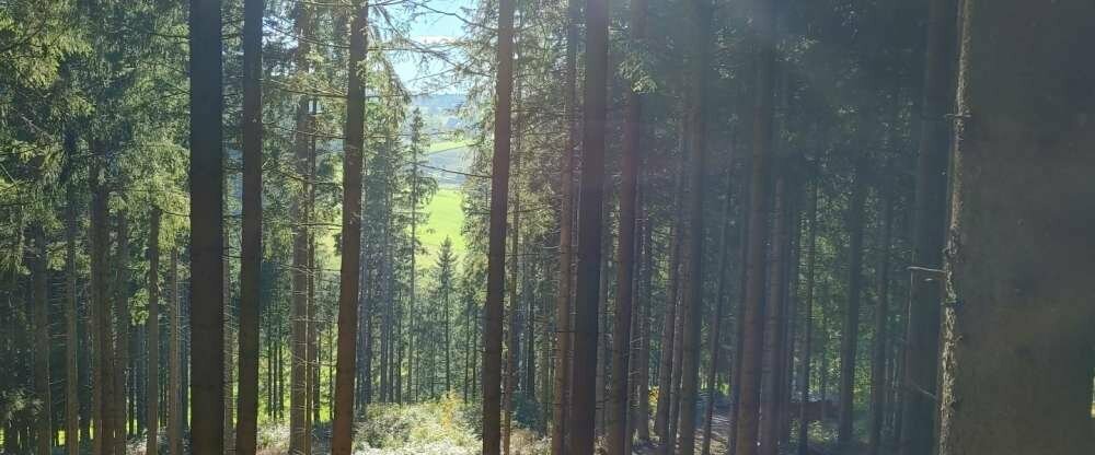 Hotel Kaltenbach - Umgebung