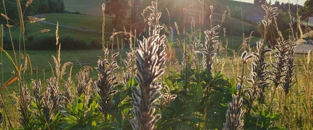 Hotel Kaltenbach - Umgebung