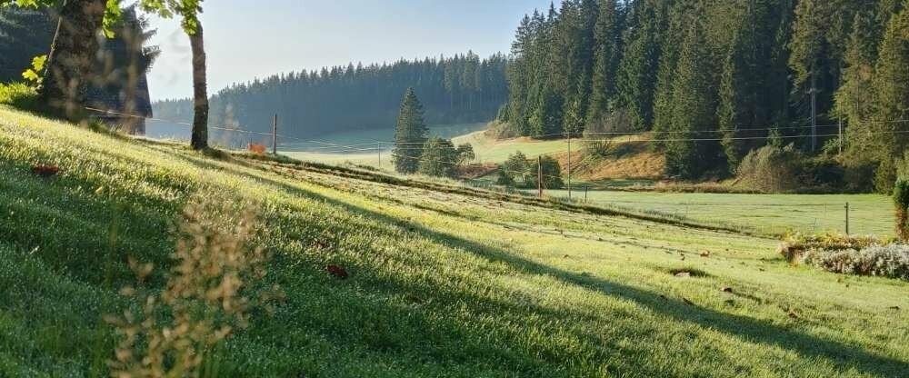 Hotel Kaltenbach - Umgebung