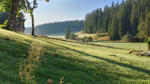 Hotel Kaltenbach - Umgebung