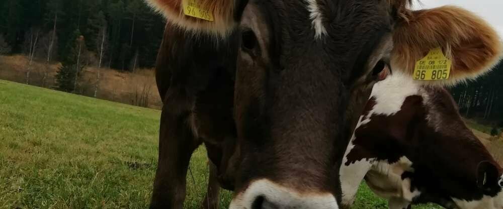 Hotel Kaltenbach - Umgebung