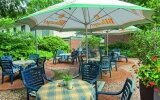 AKZENT Hotel Restaurant Albert - Terrasse/Außenbereich