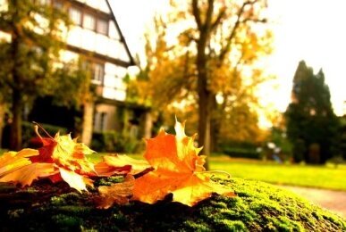 AKZENT Hotel Saltenhof, Quelle: AKZENT Hotel Saltenhof