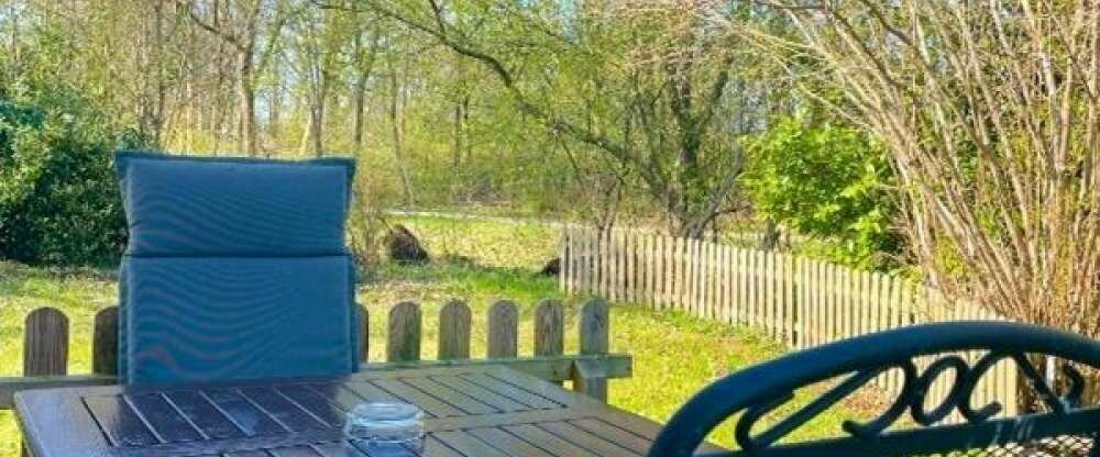 AKZENT Hotel Saltenhof - Terrasse/Außenbereich